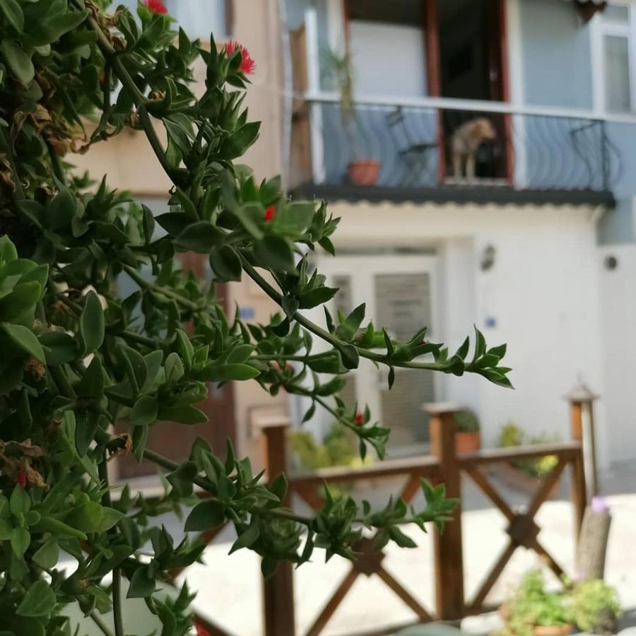 Hotel Mudanya Eksteriør bilde